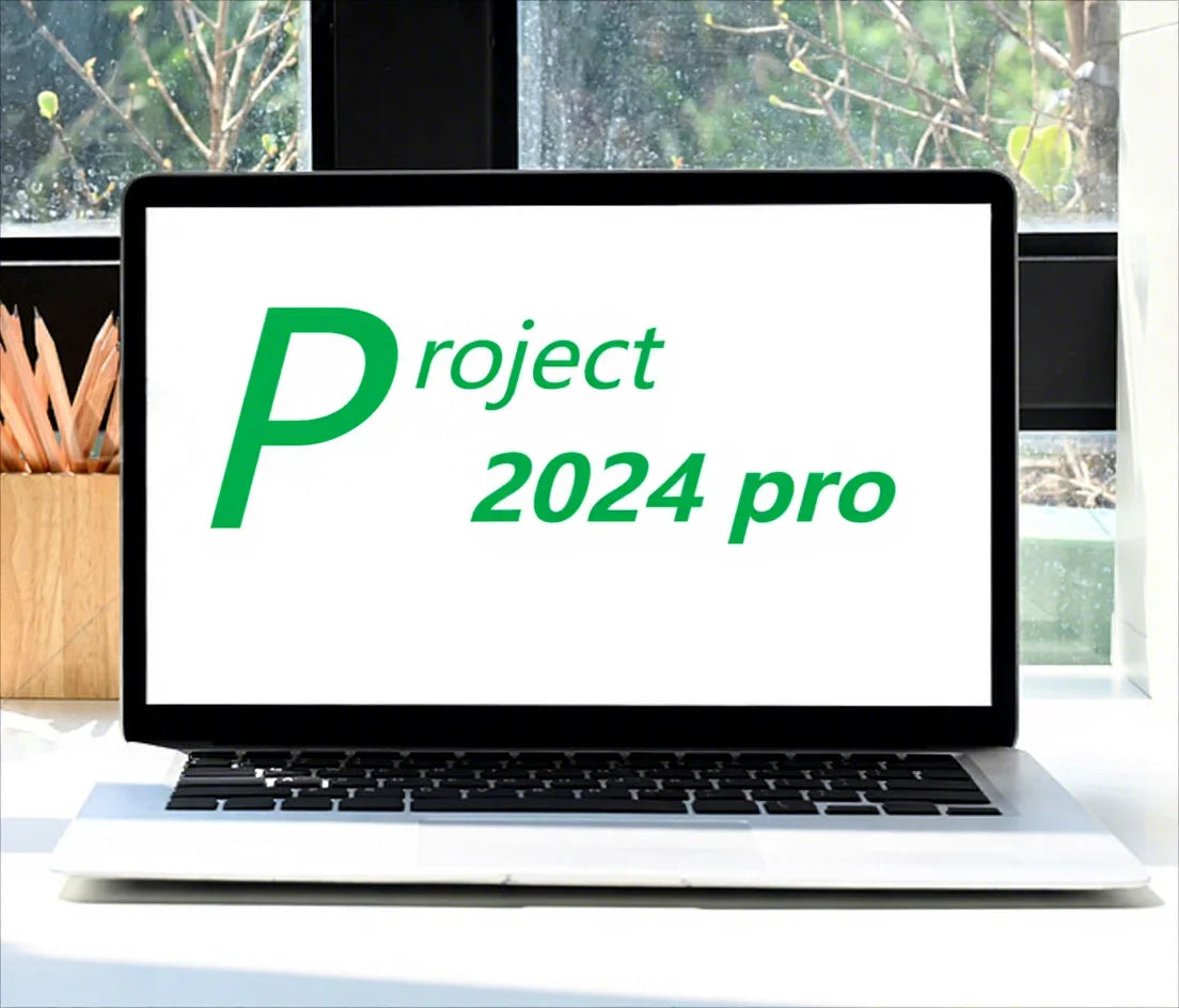 Zhenpian Project 2024 Pro Bind Lifetime Global Version Fast Activation Pack