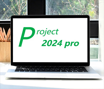 Zhenpian Project 2024 Pro Bind Lifetime Global Version Fast Activation Pack